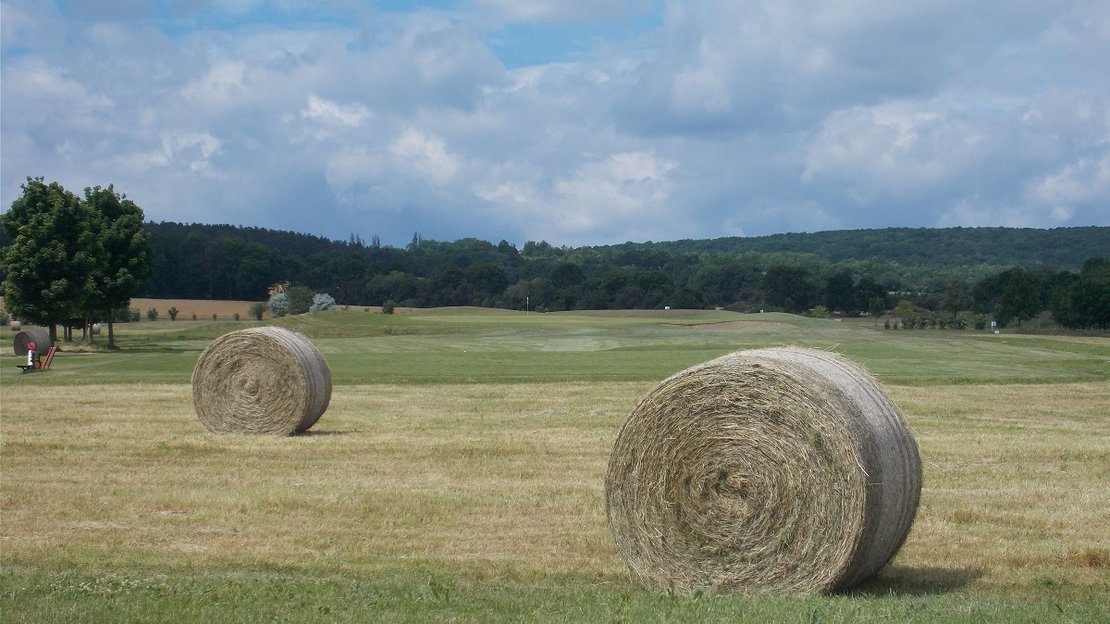 Landwirtschaft_auf_dem_golfplatz