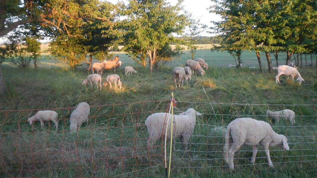 unsere_neuen_greenkeeper