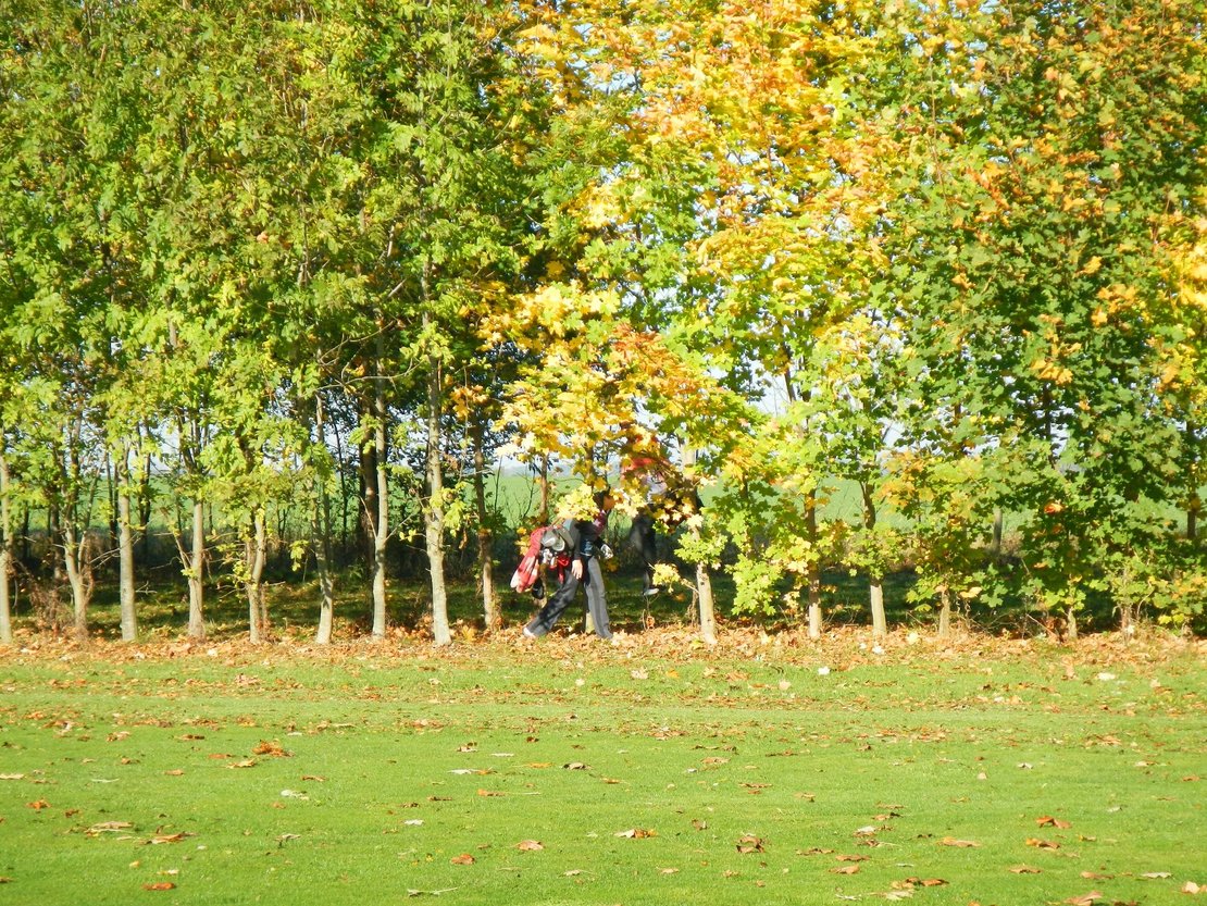 Wald_im_thueringer_golfclub